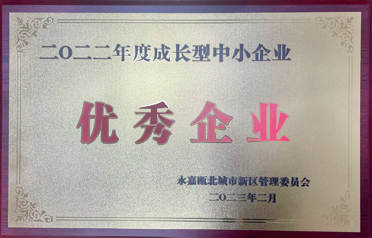 永嘉縣優(yōu)秀企業(yè)